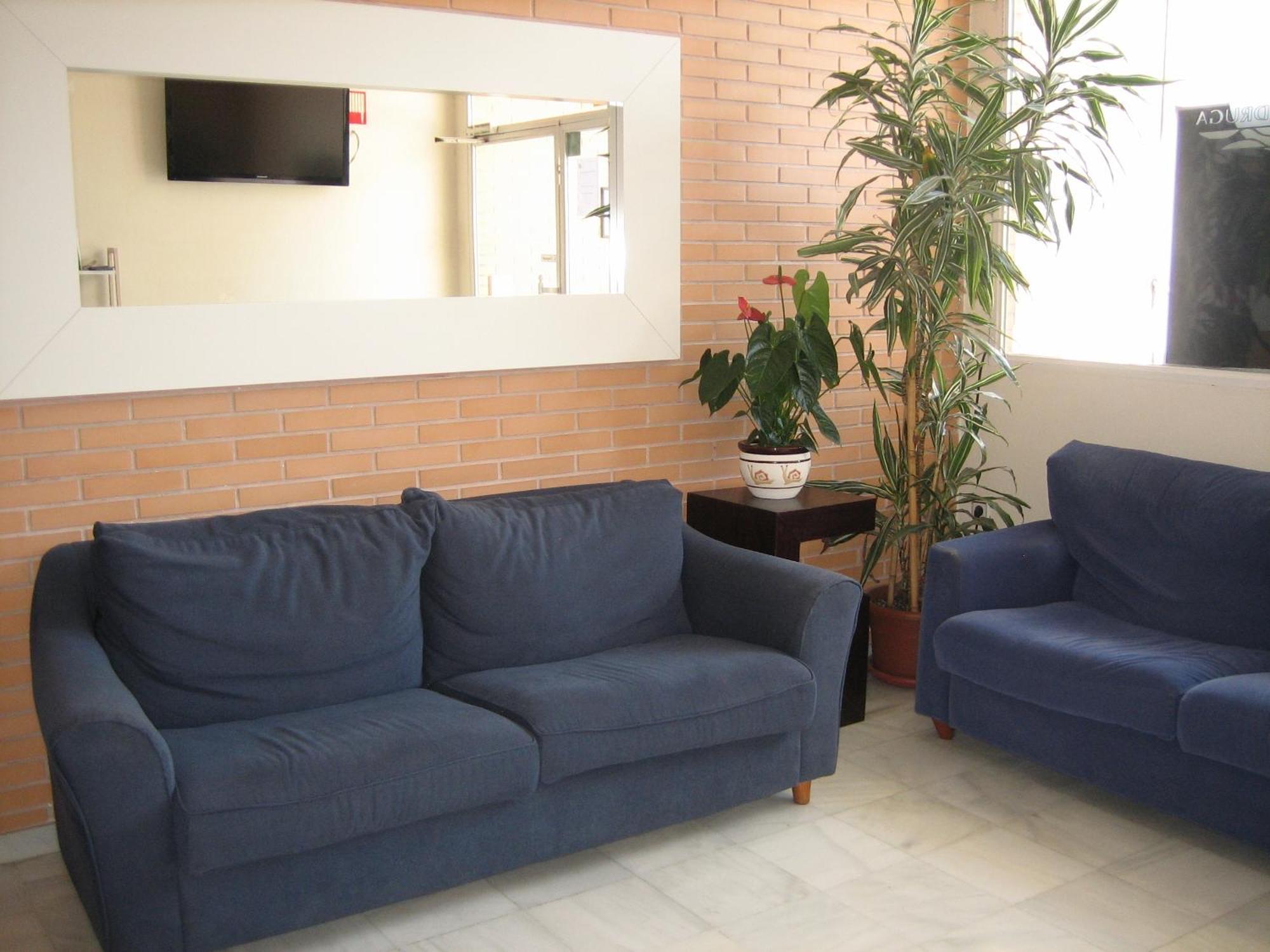 Hostal Madruga Elx Zewnętrze zdjęcie